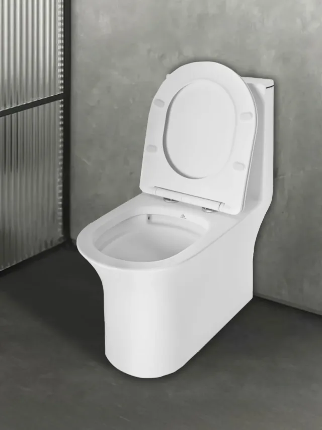 Why Choose a One Piece Toilet for Your Bathroom?
