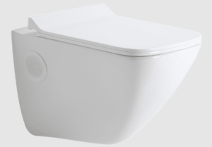 wall hung toilet